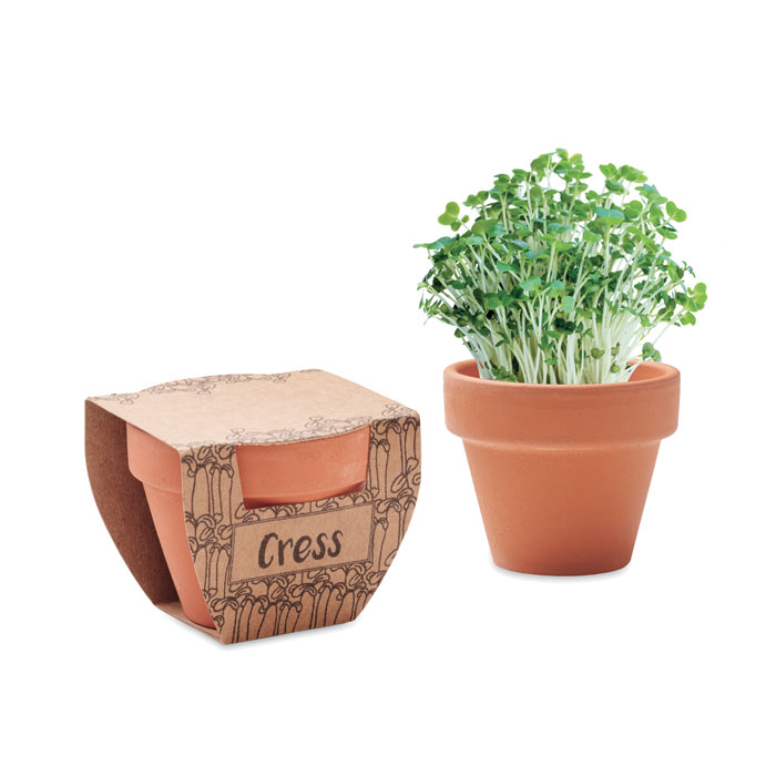 Kleine Terracotta Pot Kerszaden - Merksplas