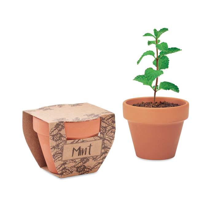 Terracotta Pot Met Muntzaadjes - Affligem - Zaprinta Belgique